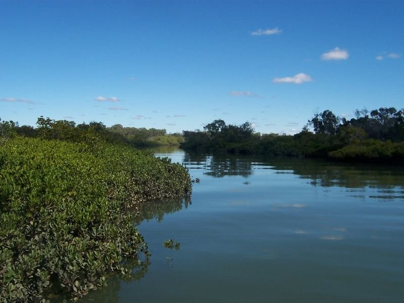 L138 Beaver Rock Road, The Dimonds QLD 4650