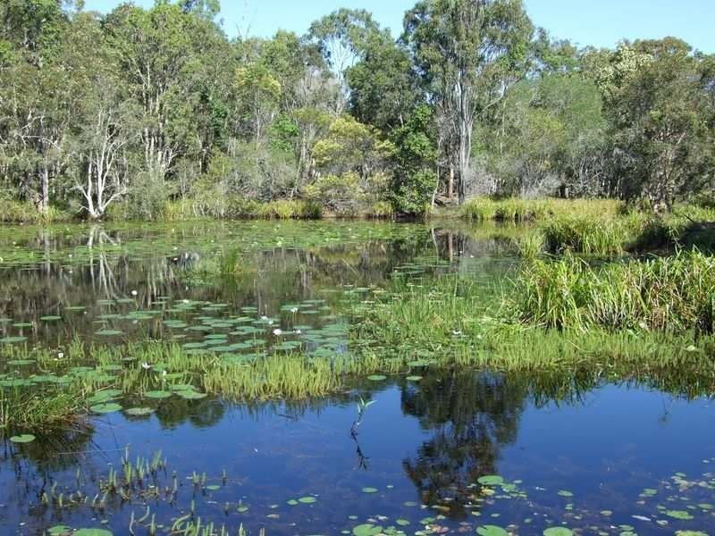 142 Dimonds Road, The Dimonds QLD 4650