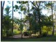 86 Woocoo Drive, Oakhurst QLD 4650