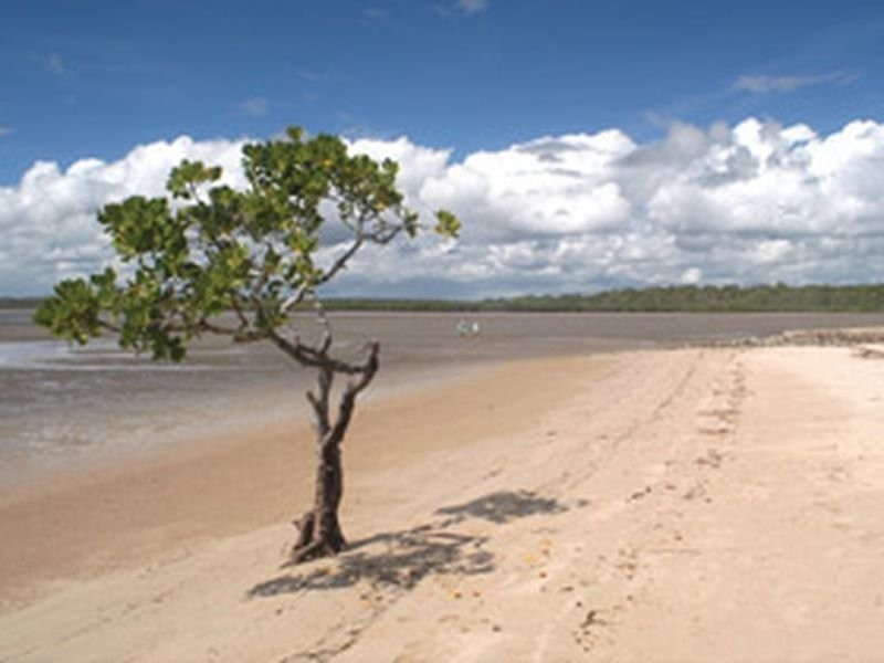 Poona QLD 4650