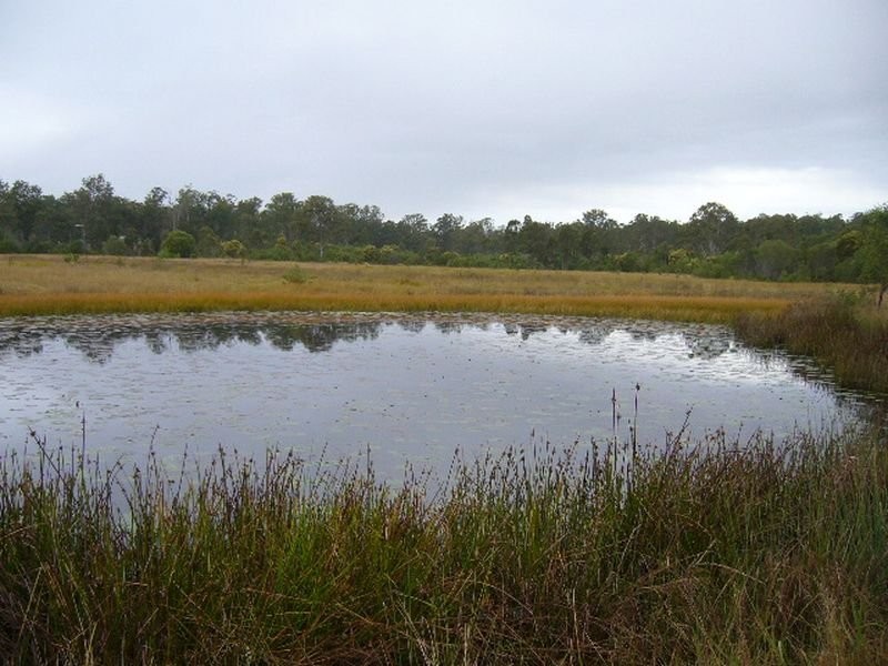 Miva QLD 4570