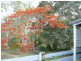 Yerra QLD 4650