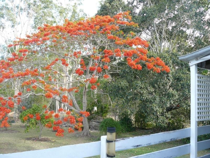 Yerra QLD 4650