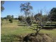 933 River Road, Maryborough QLD 4650
