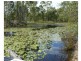 362 Old Gayndah Road , Maryborough, Dunmora QLD 4650
