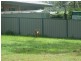 4 Gregory Court, Maryborough QLD 4650