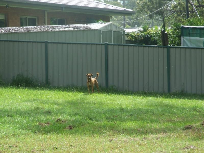 4 Gregory Court, Maryborough QLD 4650