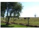1143 Bidwill Road, Magnolia QLD 4650