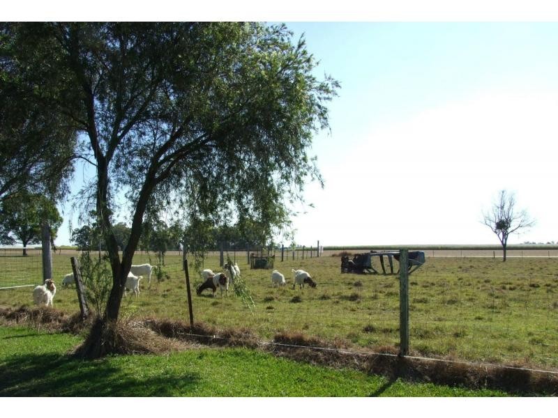 1143 Bidwill Road, Magnolia QLD 4650
