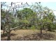 161 Gayndah Road, Maryborough QLD 4650
