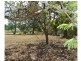 161 Gayndah Road, Maryborough QLD 4650