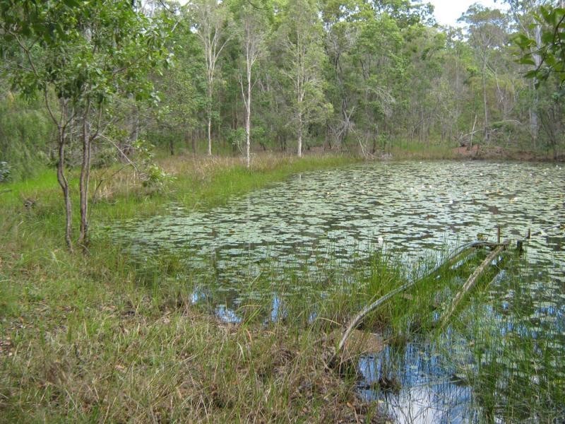 168 Iindah Road, Tinana QLD 4650