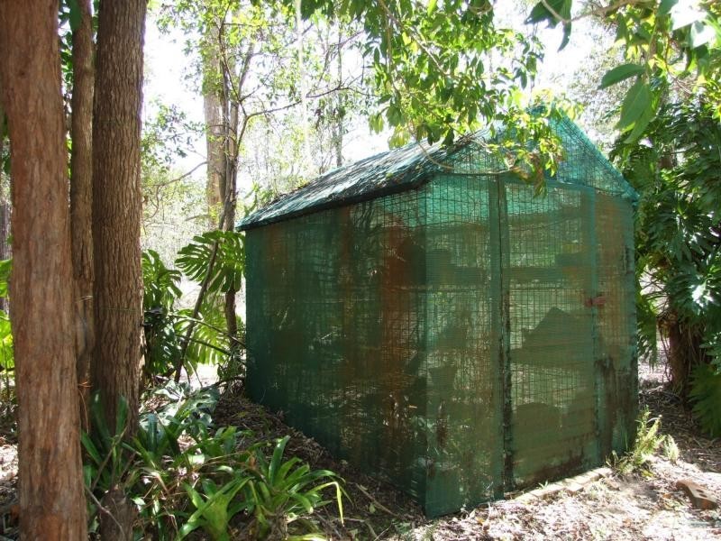 168 Iindah Road, Tinana QLD 4650