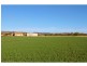 Laidley North QLD 4341