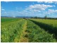 Laidley North QLD 4341
