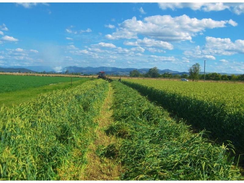 Laidley North QLD 4341