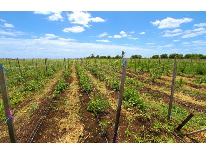 10 Crowley Vale Road, Forest Hill QLD 4342