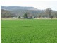 Mulgowie QLD 4341