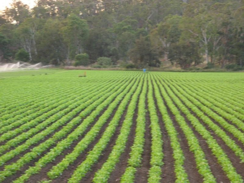 Mulgowie QLD 4341