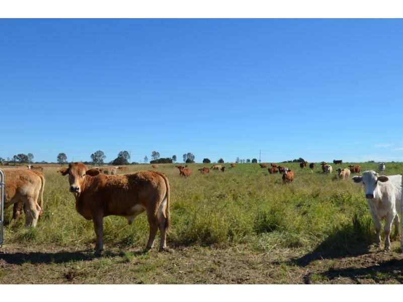 180 Harpeng Road, Wivenhoe Pocket QLD 4306