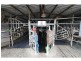 137 Clarendon Station Road, Clarendon QLD 4311