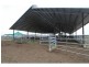 137 Clarendon Station Road, Clarendon QLD 4311