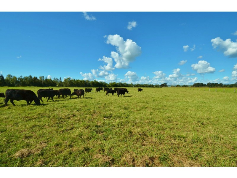 Forest Hill QLD 4342