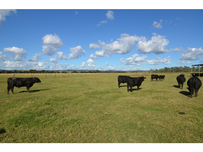 Forest Hill QLD 4342