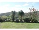 Summerholm QLD 4341