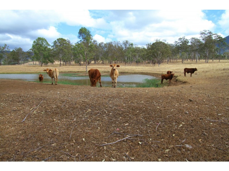 Thornton QLD 4341