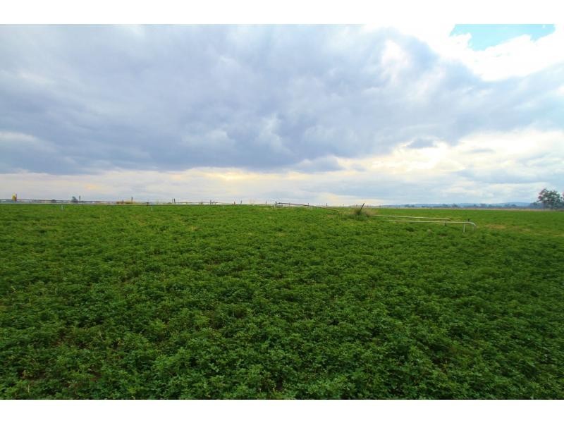 Patrick Estate QLD 4311