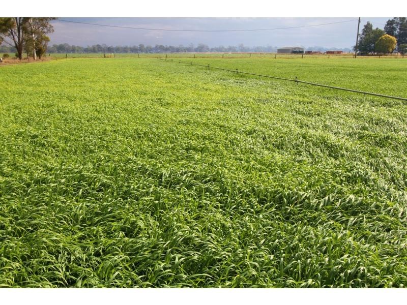 Patrick Estate QLD 4311