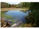 Glamorgan Vale QLD 4306