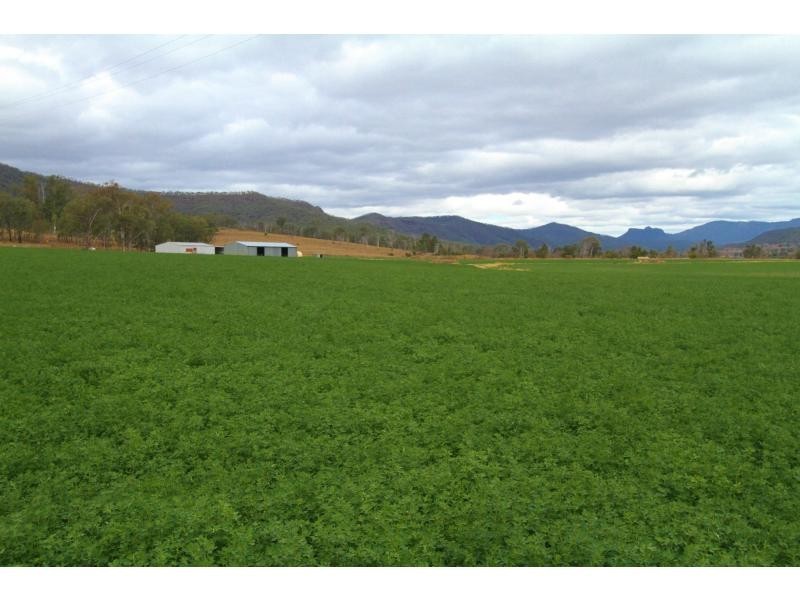 Thornton QLD 4341