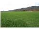 Thornton QLD 4341