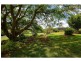 Laidley QLD 4341