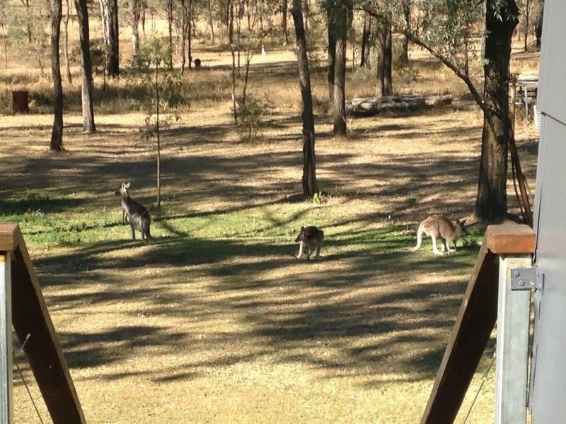 Kensington Grove QLD 4341