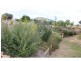 Laidley Heights QLD 4341