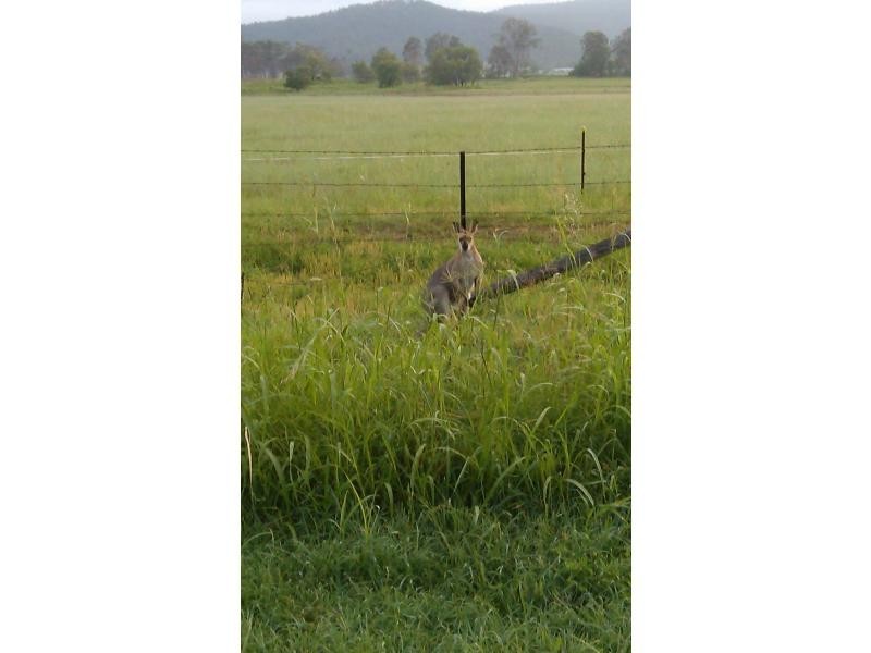 Laidley Creek West QLD 4341