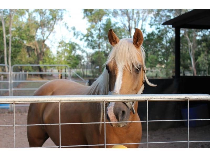 45 O’Reillys Weir Road, Lowood QLD 4311