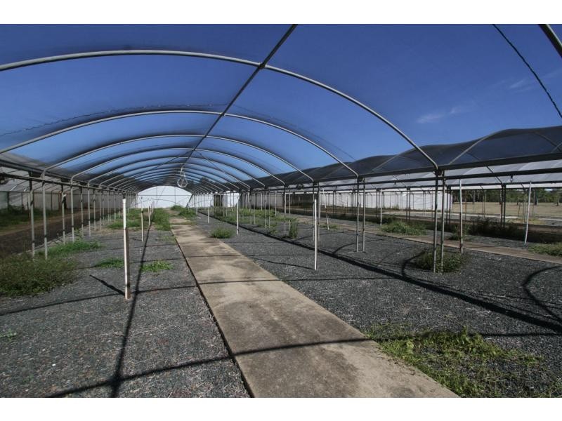 Wivenhoe Pocket QLD 4306