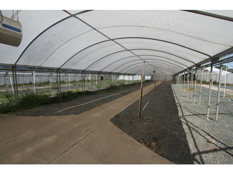 Wivenhoe Pocket QLD 4306