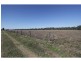 Atkinsons Dam QLD 4311