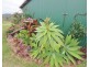 Blenheim QLD 4341