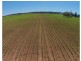 Wivenhoe Pocket QLD 4306