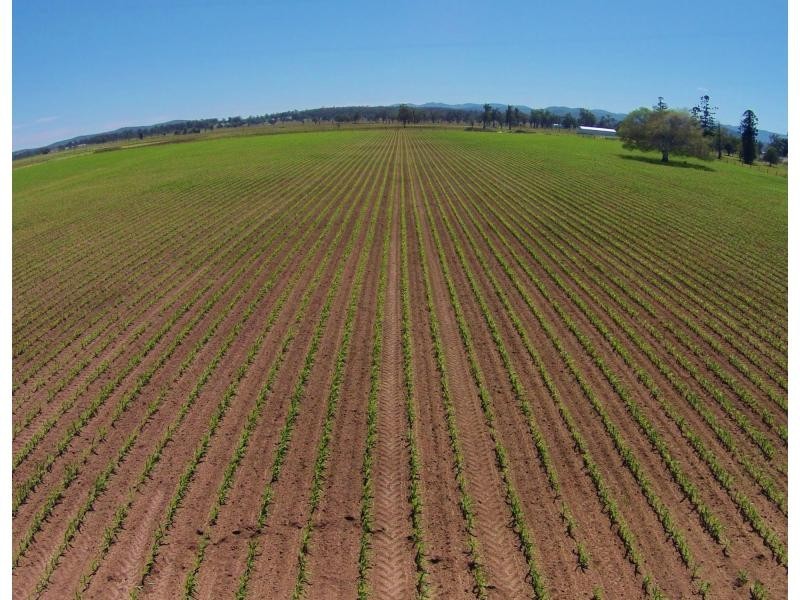 Wivenhoe Pocket QLD 4306