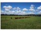 Wivenhoe Pocket QLD 4306