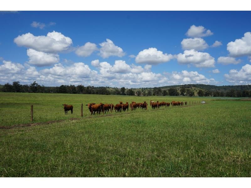 Wivenhoe Pocket QLD 4306