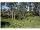 Wivenhoe Pocket QLD 4306