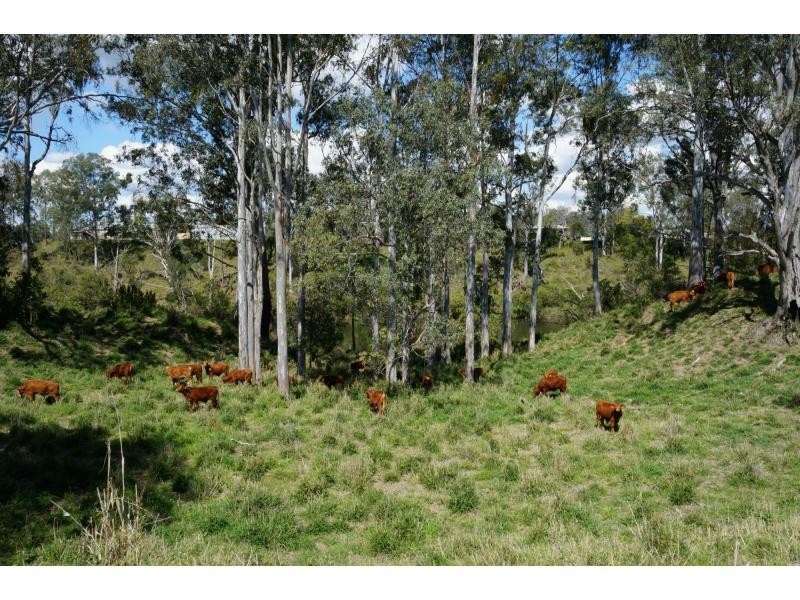 Wivenhoe Pocket QLD 4306